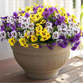 36 Pcs Artificial Fake Pansy Flowers by RowfadFlora