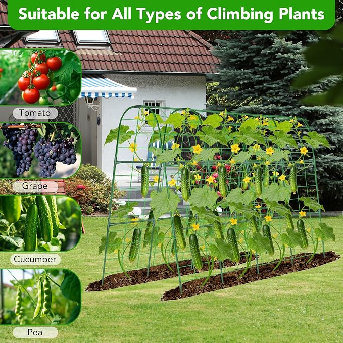 Cucumber Trellis for Raised Bed, U-Shape Garden Trellis for Climbing Plants - Image 4