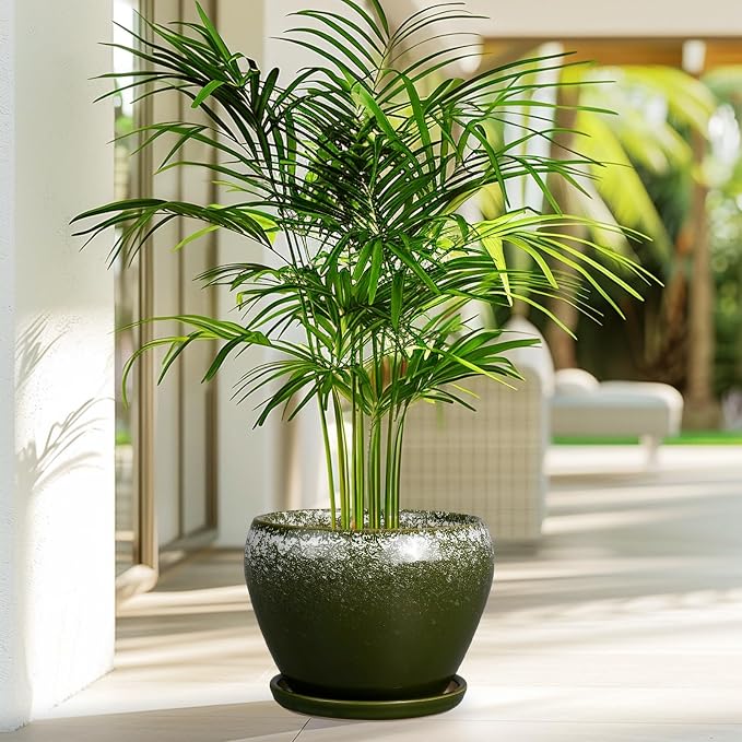 8 Inch Plant Pot - Image 4