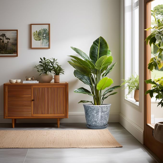 Ceramic Pots for Plants - Image 3