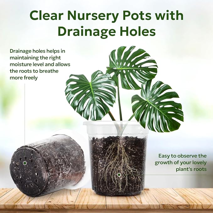 30 Packs 1 Gallon Reinforced Clear Nursery Pots - Image 3