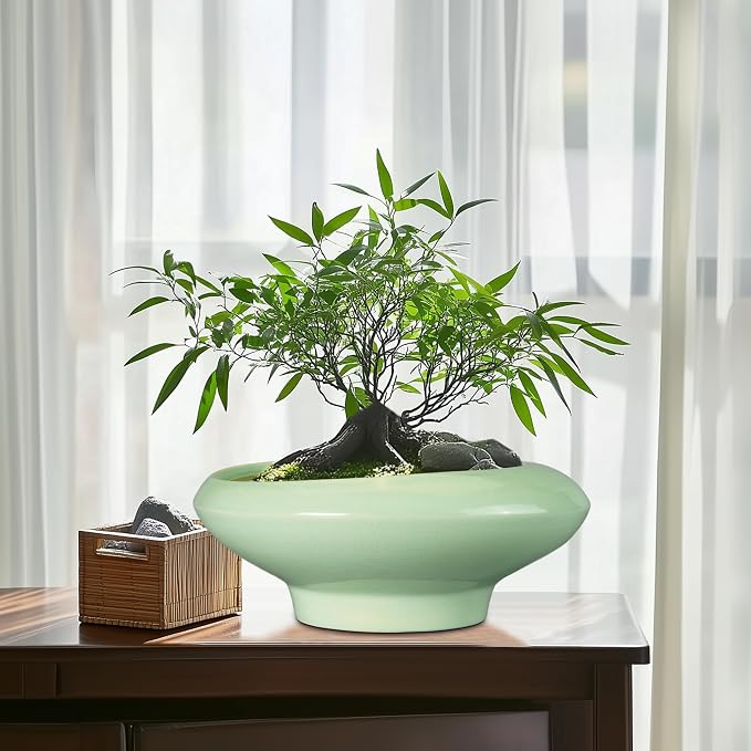 Ceramic Bonsai Pots - Image 8