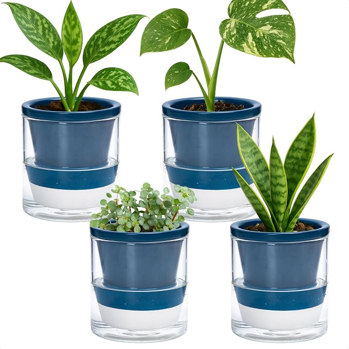 D'vine Dev 4 Inch Design Self Watering Planter by DvineDevPlanterPotsandStand