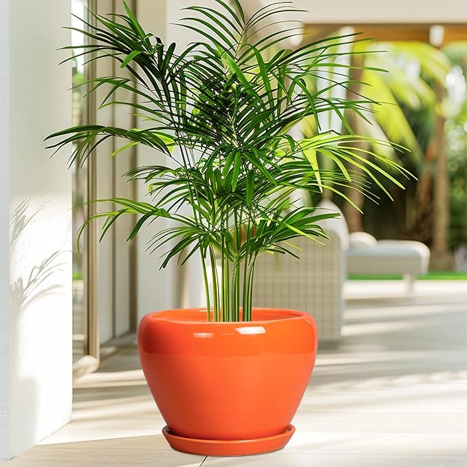Indoor Plant Pot 8 Inch - Image 4