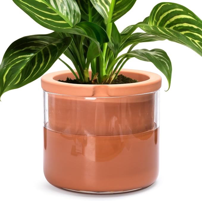Phoenix Vine 8 Inch Self Watering Planter Pots, Design White Terracotta Pots by Phoenix+Vine
