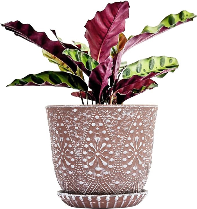Gepege 8 Inch Plant Pot for Plants, Ceramic Planter by Gepege