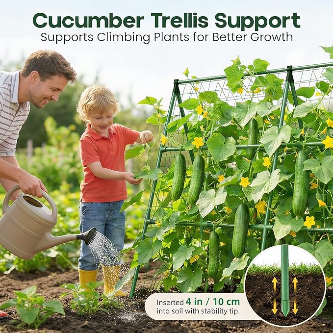 50x50 Cucumber Trellis for Raised Bed - Image 3