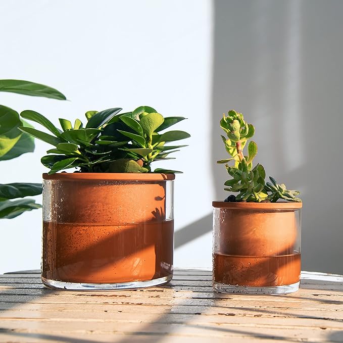 Phoenix Vine 4 Inch Self Watering Plants Pot, Design Terracotta Pot - Image 7