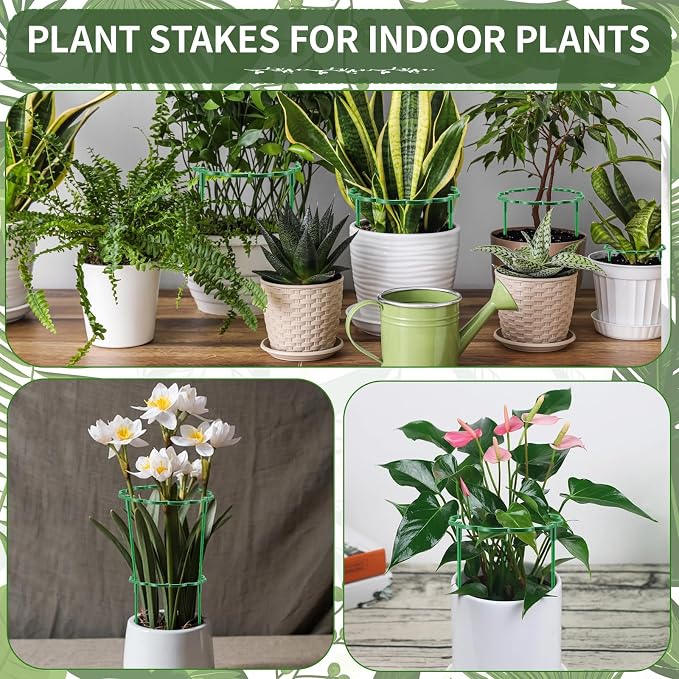 36 Pack Plant Support Stakes Sets - Image 7