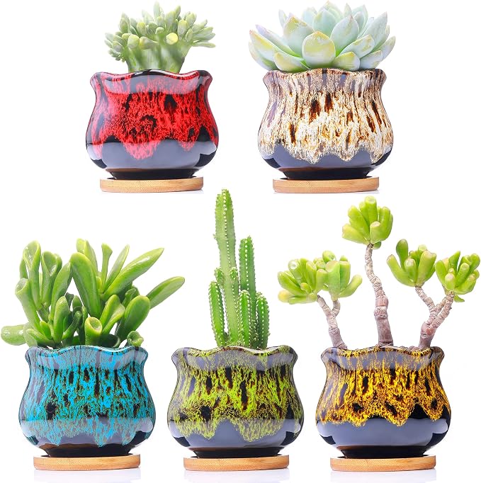 Cute Ceramic Succulent Garden Pots, Planter by LamDawn