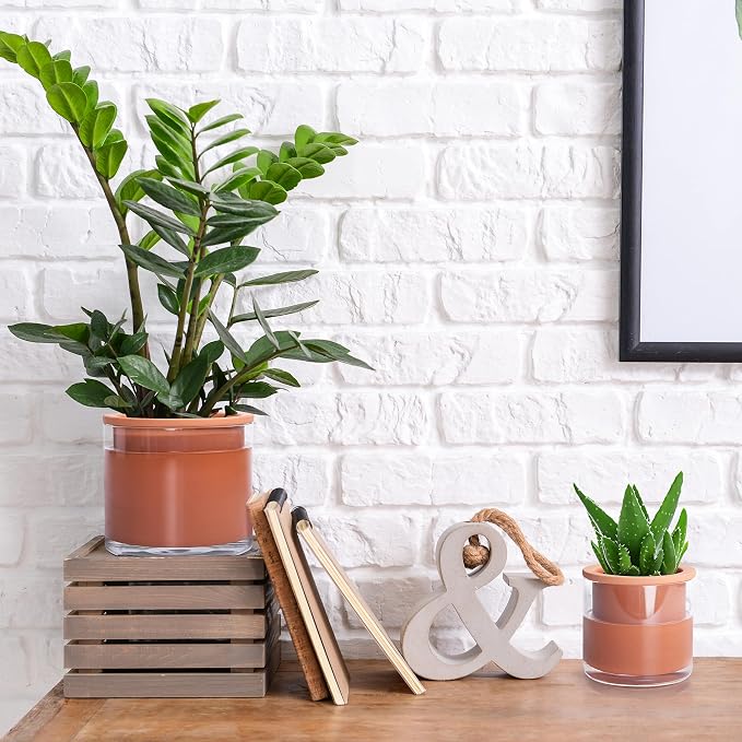 Phoenix Vine 4 Inch 6 Inch Self Watering Plants Pots, Design Terracotta Pots - Image 5