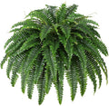 Single Silky Artificial Boston Fern Bush, 43Inch Large Artificial Ferns by Unknown