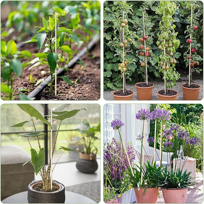 120 PCS Bamboo Plant Stakes 18 Inch, Wood Plant Support - Image 8