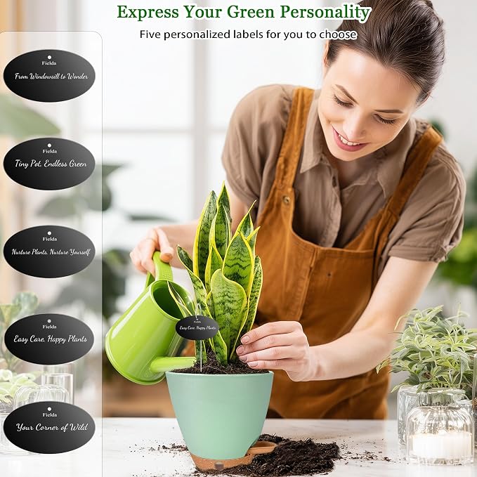 6 Inch Self Watering Pots for Indoor Plants – Small Plastic Planters - Image 3