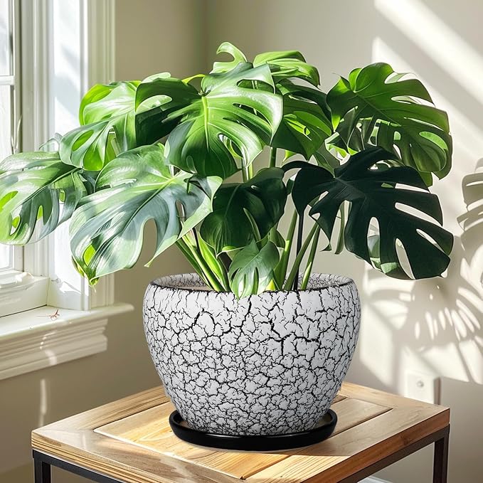 Ceramic Planters for Indoor Plants - Image 7