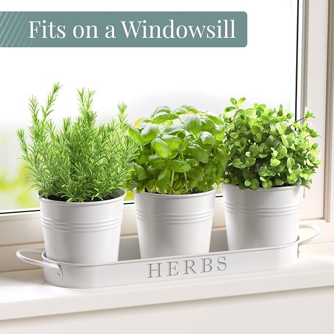 Barnyard Designs Indoor Herb Garden Planter Set - Image 3