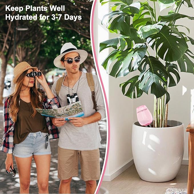 8 Pcs Plant Watering Globes Self Watering Planter Insert Plants Top Fill Water - Image 4