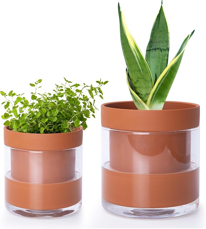 Phoenix Vine 4 Inch 6 Inch Self Watering Planter Pots, Terracotta Clay Pots by Phoenix+Vine