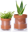Phoenix Vine 4 Inch 6 Inch Self Watering Planter Pots, Terracotta Clay Pots by Phoenix+Vine
