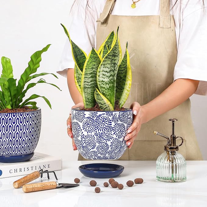 Selamica Ceramica Plant Pots, 6.5 Inch Flower Pots Set of 2 - Image 6