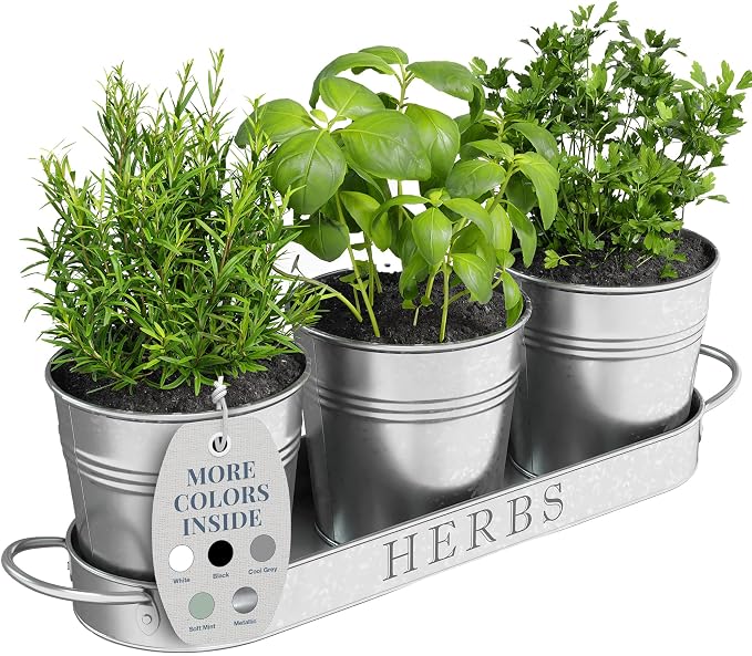 Barnyard Designs Indoor Herb Garden Planter Set by BarnyardDesigns