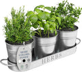 Barnyard Designs Indoor Herb Garden Planter Set by BarnyardDesigns