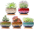 Cute Ceramic Succulent Garden Pots, Planter by LamDawn