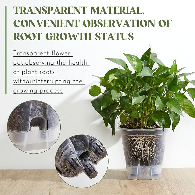 Self Watering Pots for Indoor Plants - Image 4