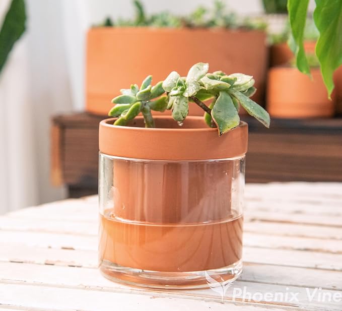 Phoenix Vine 4 Inch Self Watering Planter Pot, Terracotta Clay Pot - Image 7