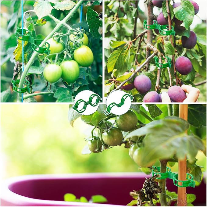 OJYUDD 200 Pcs Plant Support Clips, Plastic Plant Clips - Image 6