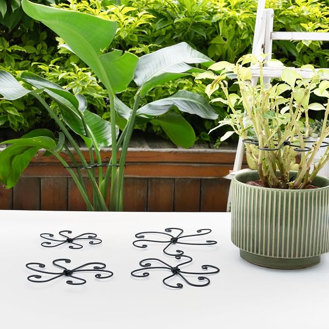 Black Monstera Plant Support 5.5IN 5PCS Premium Stem Support System - Image 7
