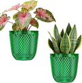 QCQHDU 2 Pack Self Watering Pots, 7.2 Inch Flower Pots by QCQHDU