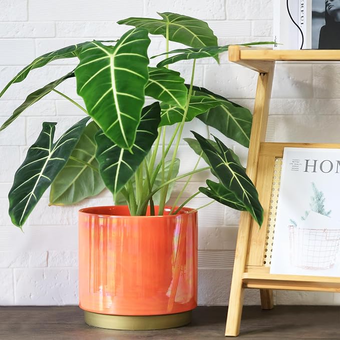 Gepege Peach Indoor Plant Pots for Plants, Large Ceramic Planter - Image 4