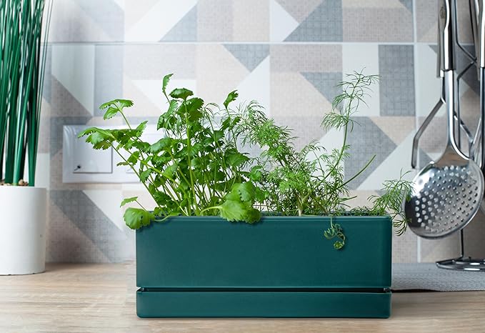 D'vine Dev 12 Inch Window Box Planter, Rectangle Plastic Herb Planter - Image 5