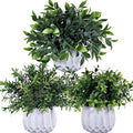 Winlyn 3 Pcs Faux Potted Plants Set by Winlyn