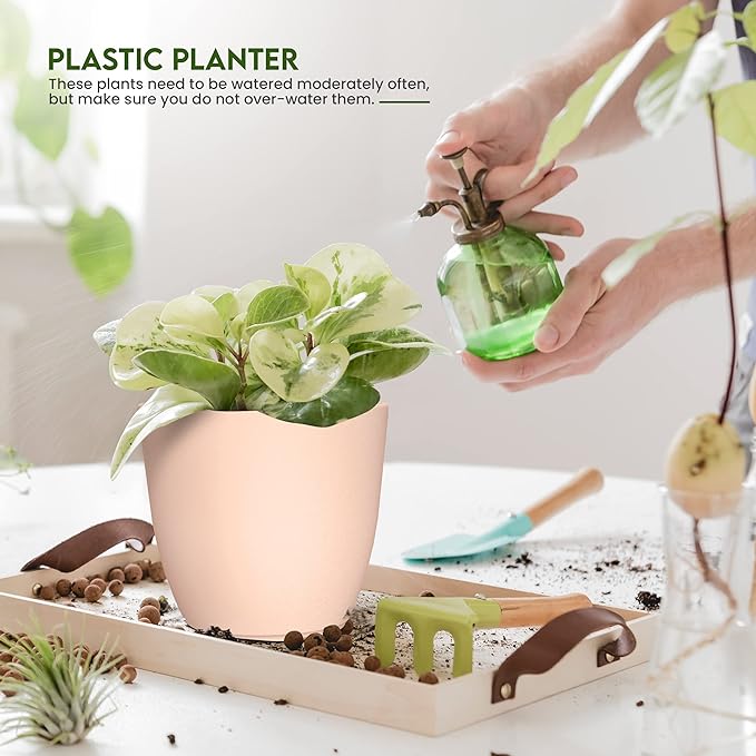 Utopia Home - Plant Pots with Drainage - 7/6.6/6/5.3/4.8 Inches Home Decor - Image 4