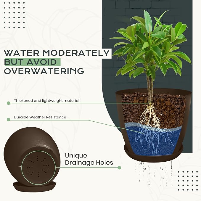Utopia Home - Plant Pots Indoor - 7/6.6/6/5.3/4.8 Inches Home Decor Flower Pots - Image 3