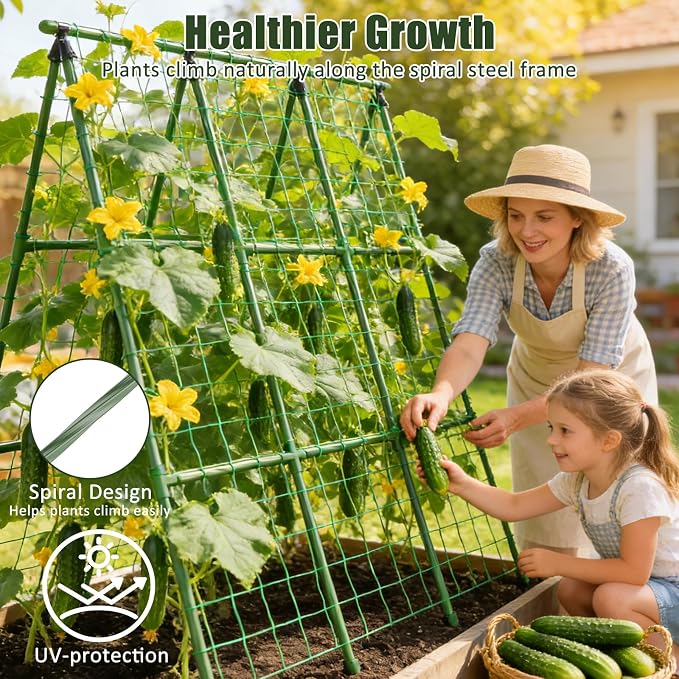 Miory Cucumber Trellis for Raised Beds, 48 x 48 Inch Metal A-Frame Garden - Image 5