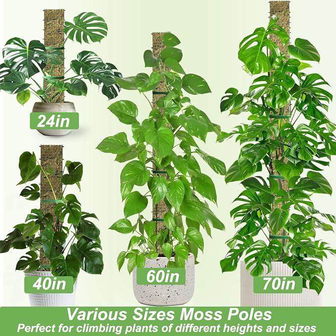 60" Metal Moss Pole, D Shape Sphagnum Moss Pole, Moss Poles - Image 8