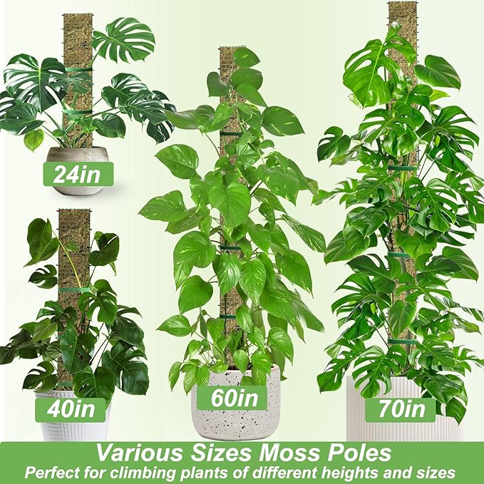 40" Metal Moss Pole, D Shape Sphagnum Moss Pole, Moss Poles - Image 5