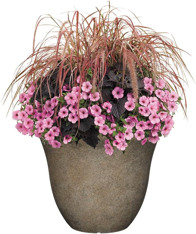 Classic Home and Garden Honeysuckle Resin Flower Pot Planter, Fossil Stone - Image 5