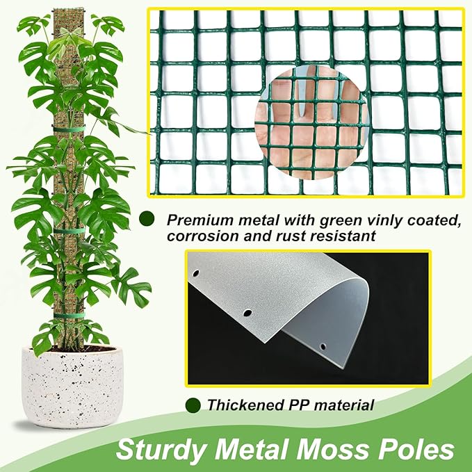 60"/40"/24" Metal Moss Pole, D Shape Sphagnum Moss Pole, Moss Poles - Image 6