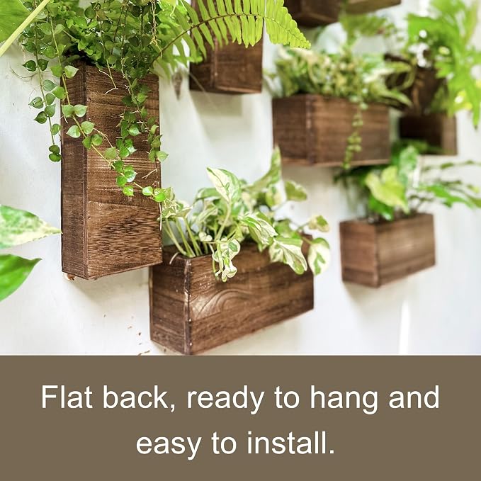 LaLaGreen Wood Planter Box for Plants Wooden Hanging Wall Planters for Indoor - Image 6