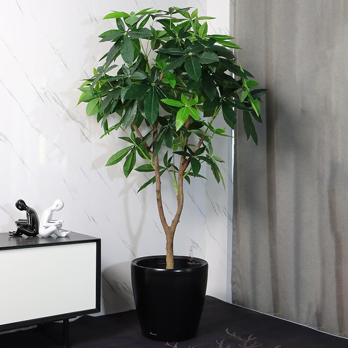 Dexceder 13x12 Self Watering Planter - Image 6