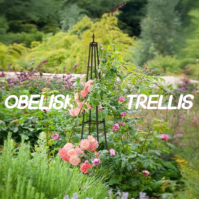 Obelisk Trellis for Climbing Plants Outdoor, 4.0 Ft Garden Trellis for Potted - Image 6