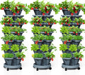 7 Tiered Strawberry Vertical Planter Tower Garden 3 Pack, Stackable Planter by Tectsia