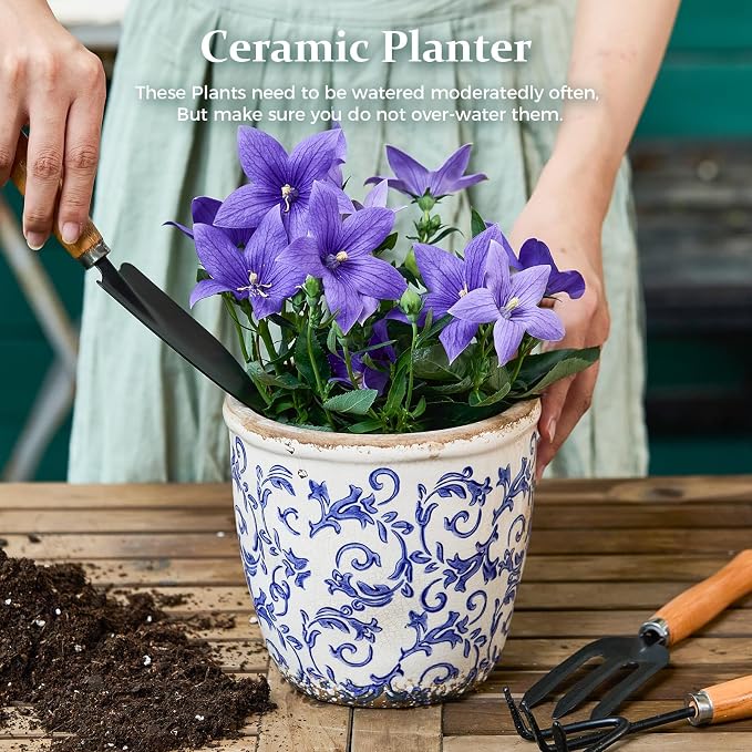 Vintage Ceramic Planter with Drainage Hole, Plastic Tray & Mesh, 6.5 Inch - Image 2