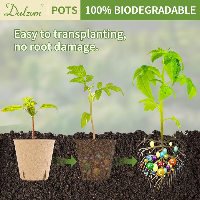 Dalzom® 60Pcs 3.1” Peat Pots - Image 5