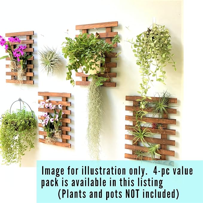 ShopLaLa Wall Planter for Climbing Plants Outdoor - Image 9