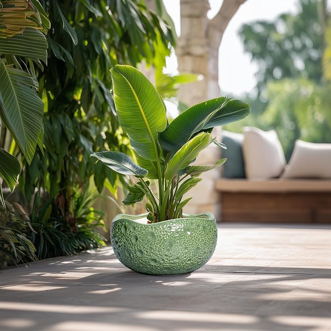 Ceramic Pots for Plants - Image 4